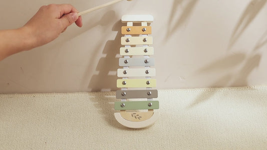 Montessori Wooden Multicoloured Musical Instruments