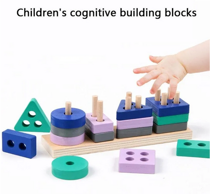 Montessori Toy Wooden Building Blocks Colour Shape Match Kids Puzzle